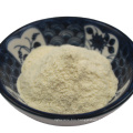 Hot sale factory directly supply probiotics powder in food grade Lactobacillus rhamnosus